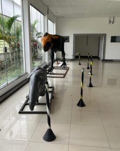 Dia da Ciência e do Pesquisador Científico será celebrado com