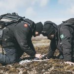 Espécies de fungos são descobertas na Antártica por cientistas brasileiros