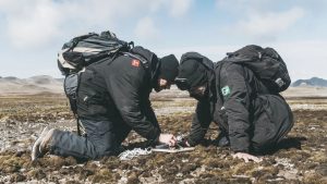 Espécies de fungos são descobertas na Antártica por cientistas brasileiros