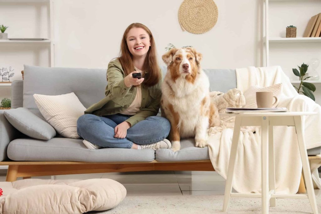Estudo mostra que cães reagem ao que passa na TV