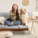 Estudo mostra que cães reagem ao que passa na TV