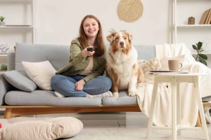 Estudo mostra que cães reagem ao que passa na TV