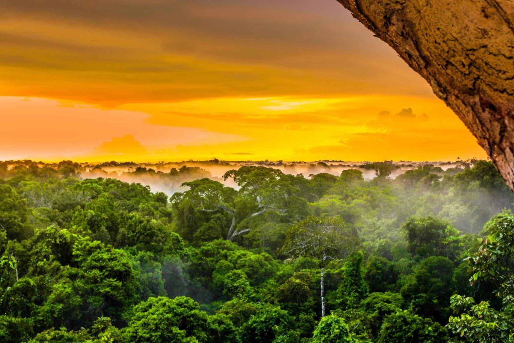 Existe diferença entre nevoeiro, neblina e névoa?