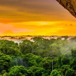 Existe diferença entre nevoeiro, neblina e névoa?