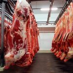 Exportação de carne bovina cresce e atinge US$ 1,4 bilhão