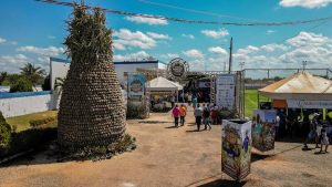 Festival do Abacaxi movimenta São Domingos do Maranhão com cultura,