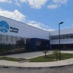 Fim da dengue? Brasil inaugura maior fábrica de mosquito Aedes