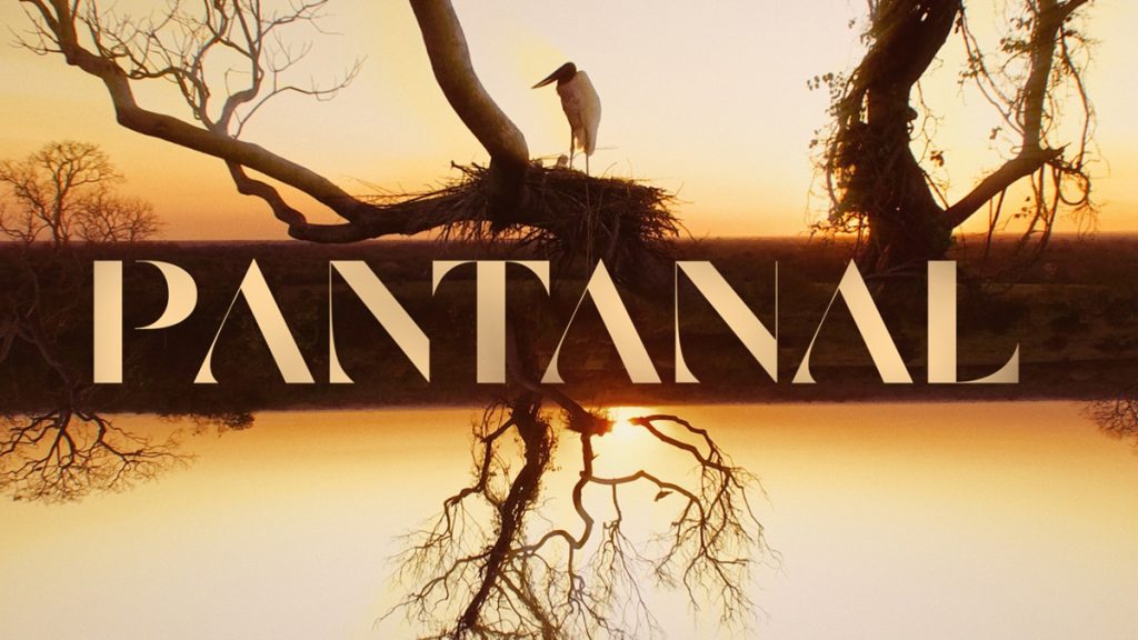 Grande ator de Pantanal morre aos 68 anos e dá