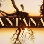 Grande ator de Pantanal morre aos 68 anos e dá