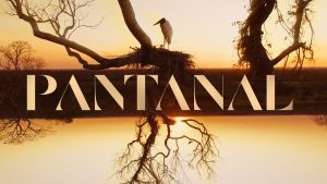 Grande ator de Pantanal morre aos 68 anos e dá