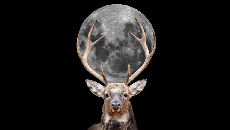 Lua dos Veados? Entenda o nome correto e por que