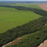 Mais de 11 milhões vivem em unidades de conservação no