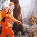 Maranhão Sem Queimadas avança em ações preventivas de combate a
