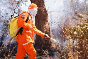 Maranhão Sem Queimadas avança em ações preventivas de combate a