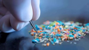 Microplásticos podem afetar saúde reprodutiva humana, revela estudo