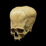 Misterioso crânio de “alien” encontrado na Argentina é desvendado