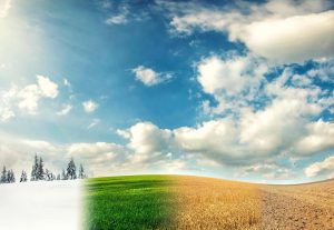 Novas estações do ano? Cientistas sugerem rever o calendário climático