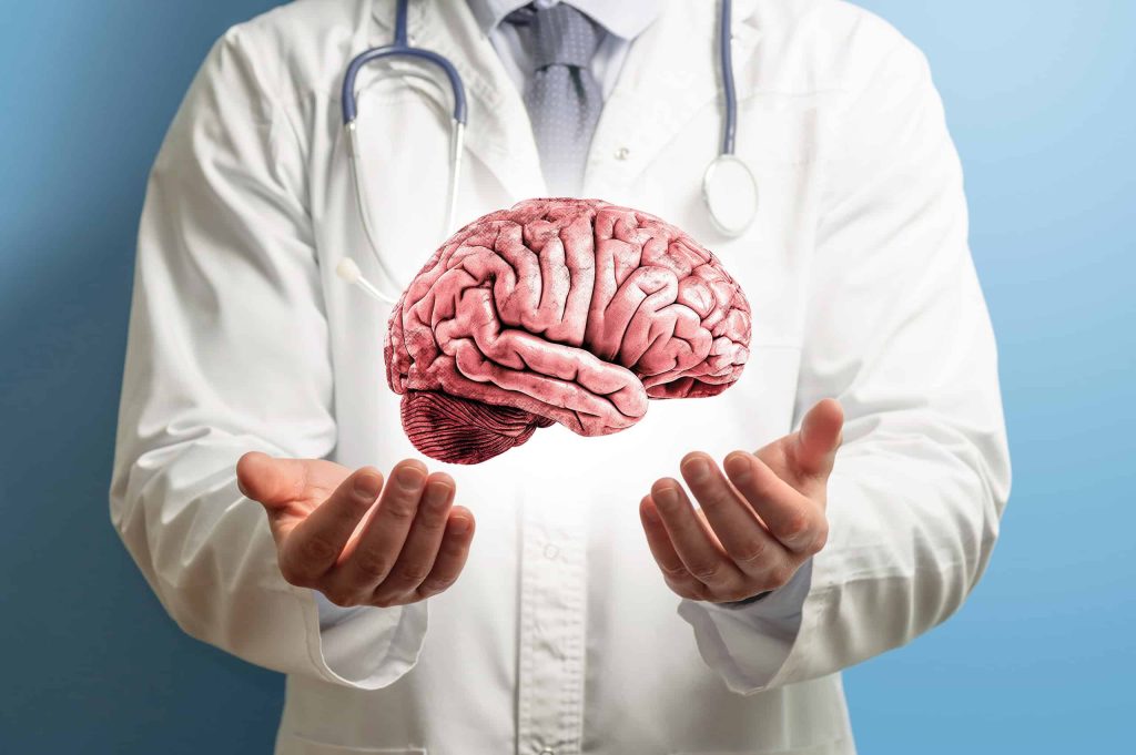 O que são e para que servem as amígdalas cerebrais?