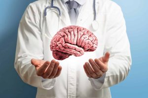 O que são e para que servem as amígdalas cerebrais?