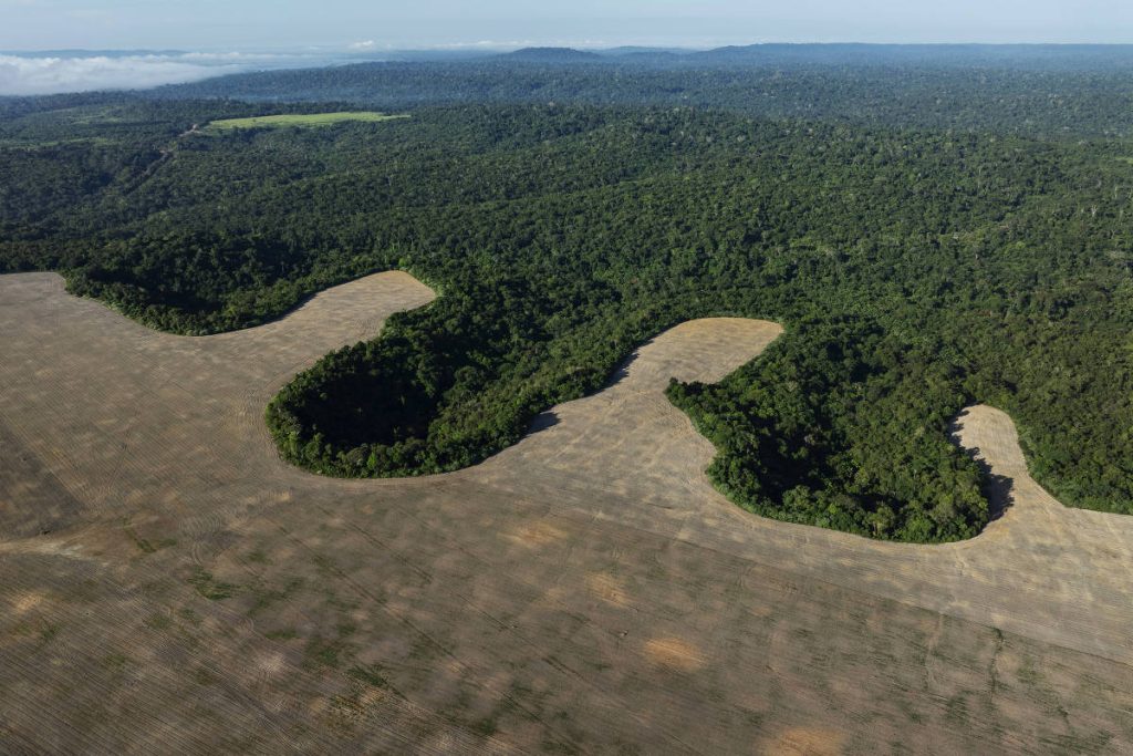 ONU classifica nova lei brasileira que afrouxa licenciamento ambiental de