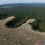 ONU classifica nova lei brasileira que afrouxa licenciamento ambiental de