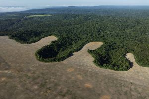 ONU classifica nova lei brasileira que afrouxa licenciamento ambiental de