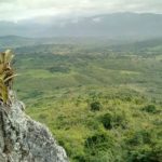 Pesquisador indígena cataloga 150 plantas medicinais de seu território