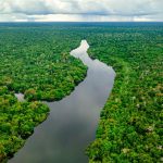 Poeira do Saara é encontrada na Amazônia