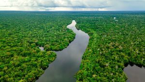 Poeira do Saara é encontrada na Amazônia