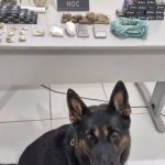 Polícia Civil cumpre três mandados de busca e apreensão na