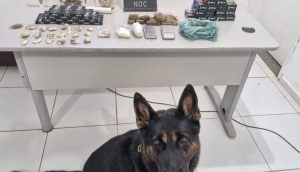 Polícia Civil cumpre três mandados de busca e apreensão na