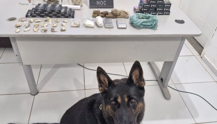 Polícia Civil cumpre três mandados de busca e apreensão na