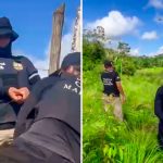 Polícia destrói roça com 10 mil pés de maconha e
