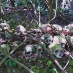 Por que os Bali Aga não enterram os mortos? Descubra