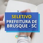 Prefeitura de Brusque - SC abre novas vagas; até R$