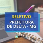Prefeitura de Delta - MG lança seletivo para educação
