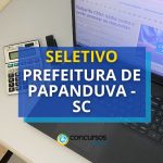 Prefeitura de Papanduva - SC publica edital de processo seletivo