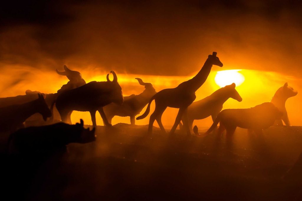 Qual é o animal que mais causa mortes no planeta?