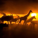 Qual é o animal que mais causa mortes no planeta?