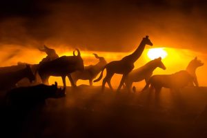 Qual é o animal que mais causa mortes no planeta?