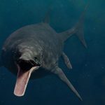 Réptil marinho gigante indica o nascimento de um oceano