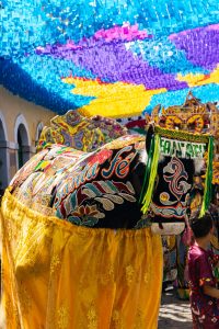 Ritual de morte do Boi de Santa Fé será neste