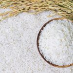 Robô feito de arroz é nova aposta sustentável da robótica