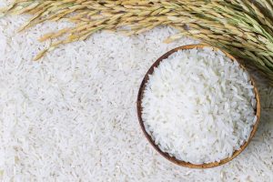 Robô feito de arroz é nova aposta sustentável da robótica