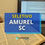 SC abre novas vagas; até R$ 6.072 por mês