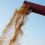 Saldo da Balança Comercial do Maranhão é positivo no 1º