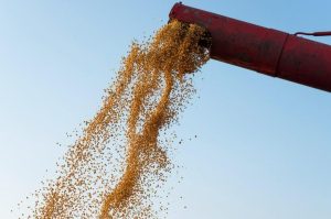 Saldo da Balança Comercial do Maranhão é positivo no 1º