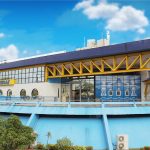 Sebrae: 53 anos com foco nos pequenos negócios