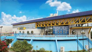 Sebrae: 53 anos com foco nos pequenos negócios