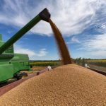 Setor agropecuário se alinha ao governo contra medida dos EUA